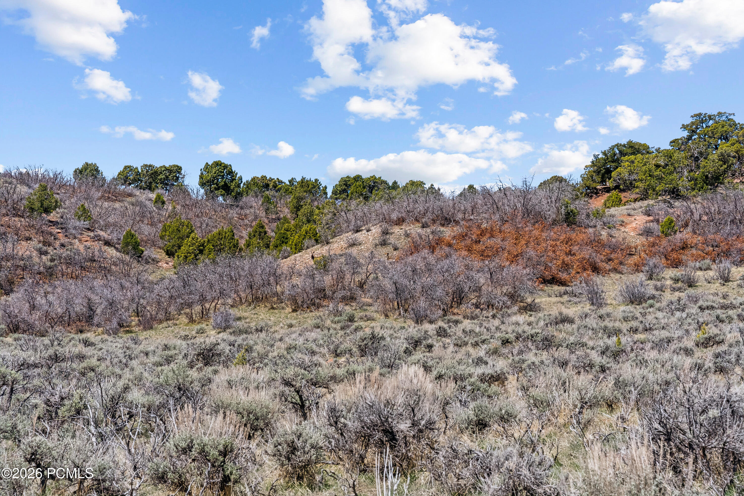 46997 Thunder Ridge Road Fruitland, UT 84027 - Photo 16 of 30