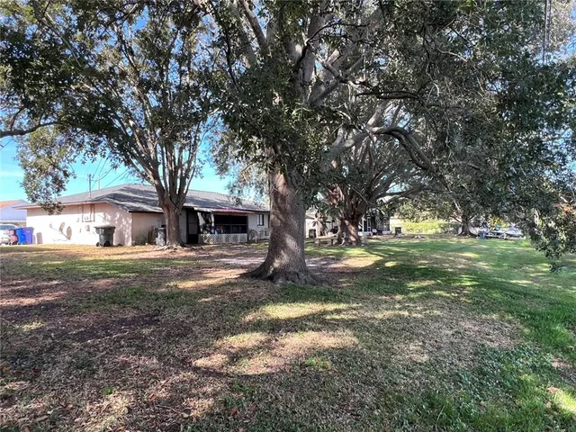 a view of a trees with a yard