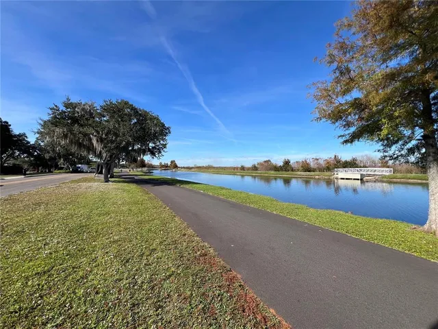 a view of lake with tree