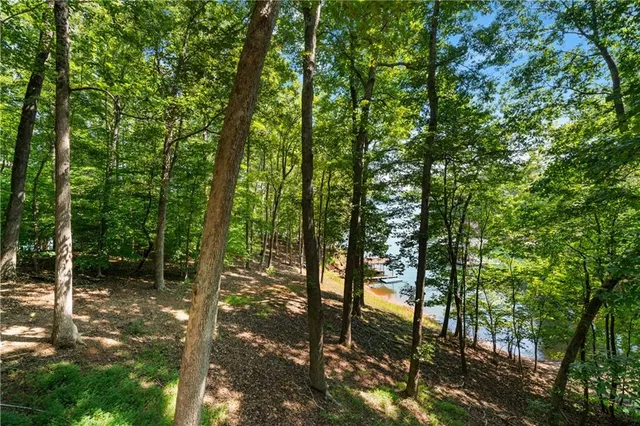 $3,500 | 180 Waterfront Drive, Dawsonville, GA 30534