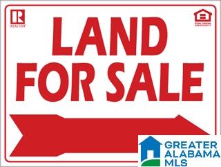 0 Dead Hollow Road Harpersville, AL 35078 - Photo 1 of 1