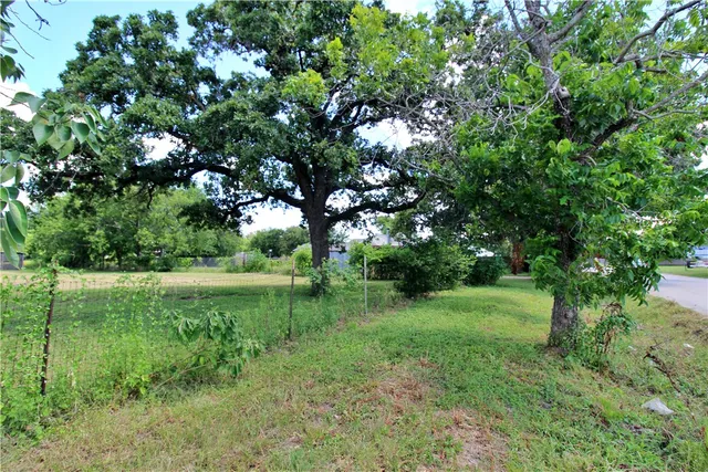 a view of a lush green space