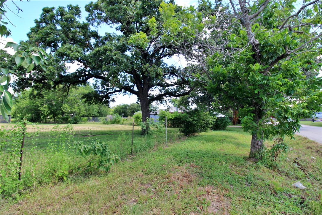 0 Concord Road Waco, TX 76705 - Photo 7 of 16 a view of a lush green space