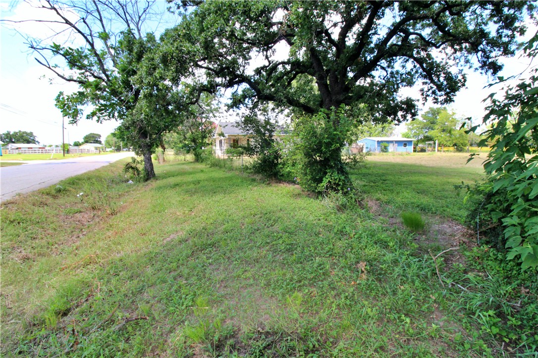 0 Concord Road Waco, TX 76705 - Photo 8 of 16 a view of backyard with large trees