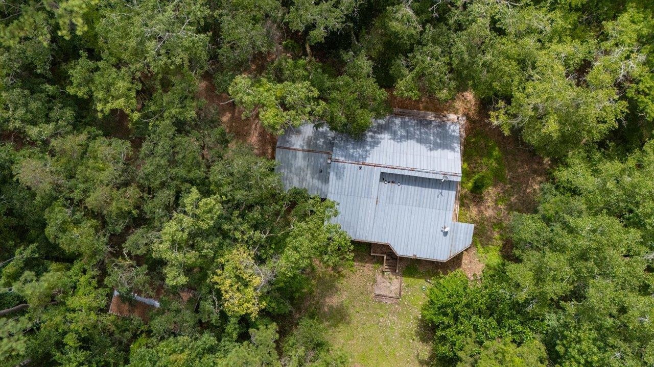 9497 Gamble Road Monticello, FL 32344 - Photo 5 of 29