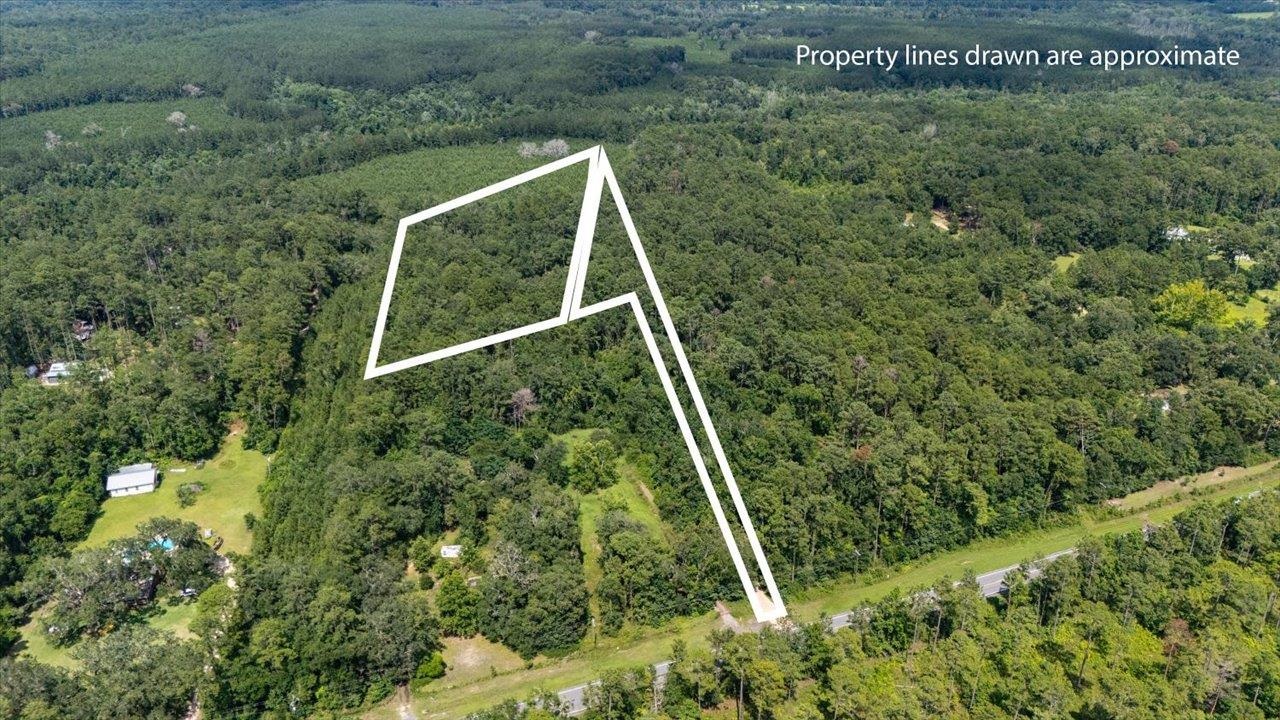 9497 Gamble Road Monticello, FL 32344 - Photo 6 of 29