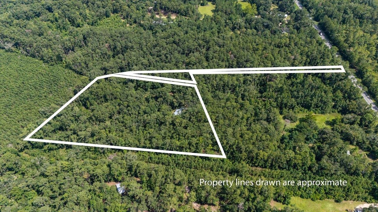 9497 Gamble Road Monticello, FL 32344 - Photo 7 of 29