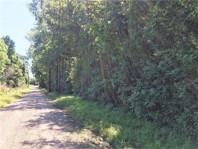 61-acres Stein Road Bogalusa, LA 70427 - Photo 2 of 5