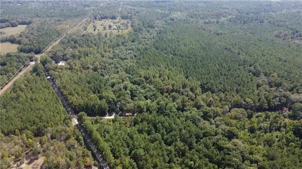 $206,073 | 61-acres Stein Road, Bogalusa, LA 70427