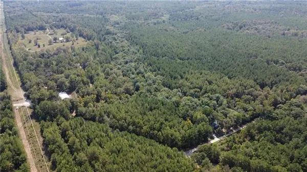 $206,073 | 61-acres Stein Road, Bogalusa, LA 70427
