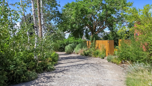 510 Spring Creek Road Providence, UT 84332 - Photo 73 of 97 Gravel and concrete driveway bordered by mature trees and varied plantings
