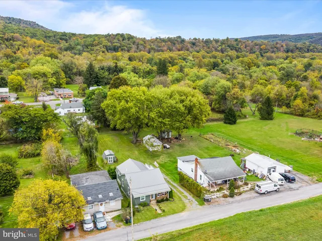 a view of a lush green hillside and houses