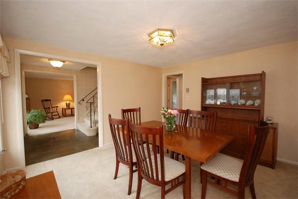 7 Elena Road Lexington, MA 02421 - Photo 5 of 20