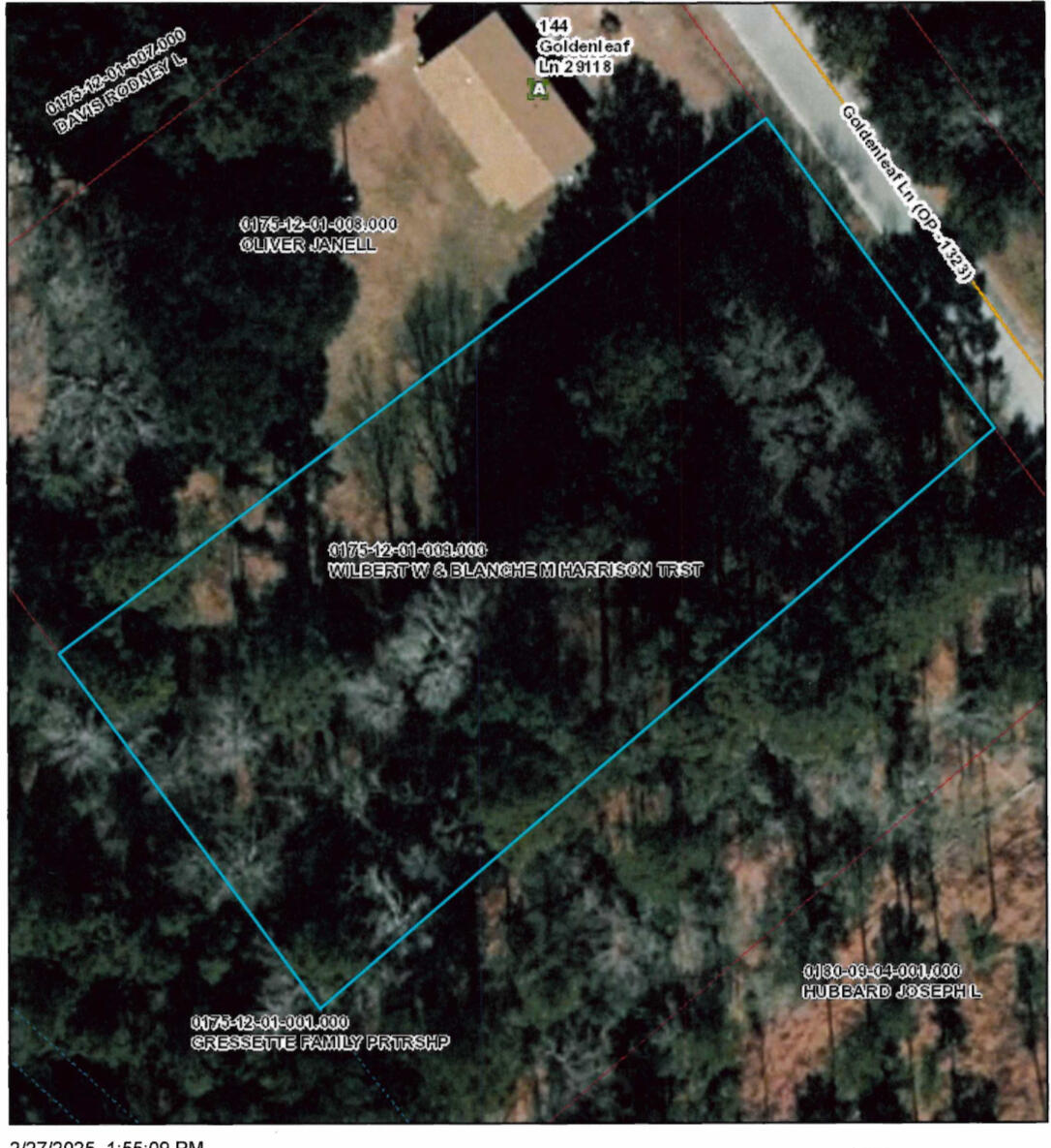 0 Goldenleaf Lane Orangeburg, SC 29118 - Photo 1 of 1 IMG_2529