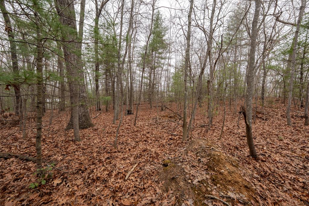 Na Owenby Road Blairsville, GA 30512 - Photo 4 of 8