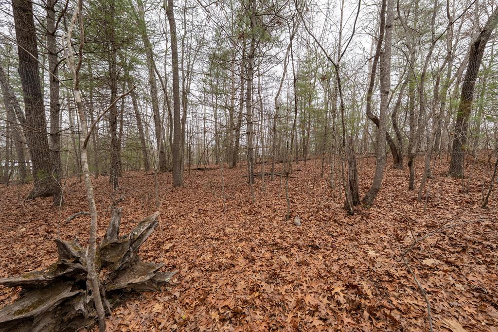 Na Owenby Road Blairsville, GA 30512 - Photo 5 of 8