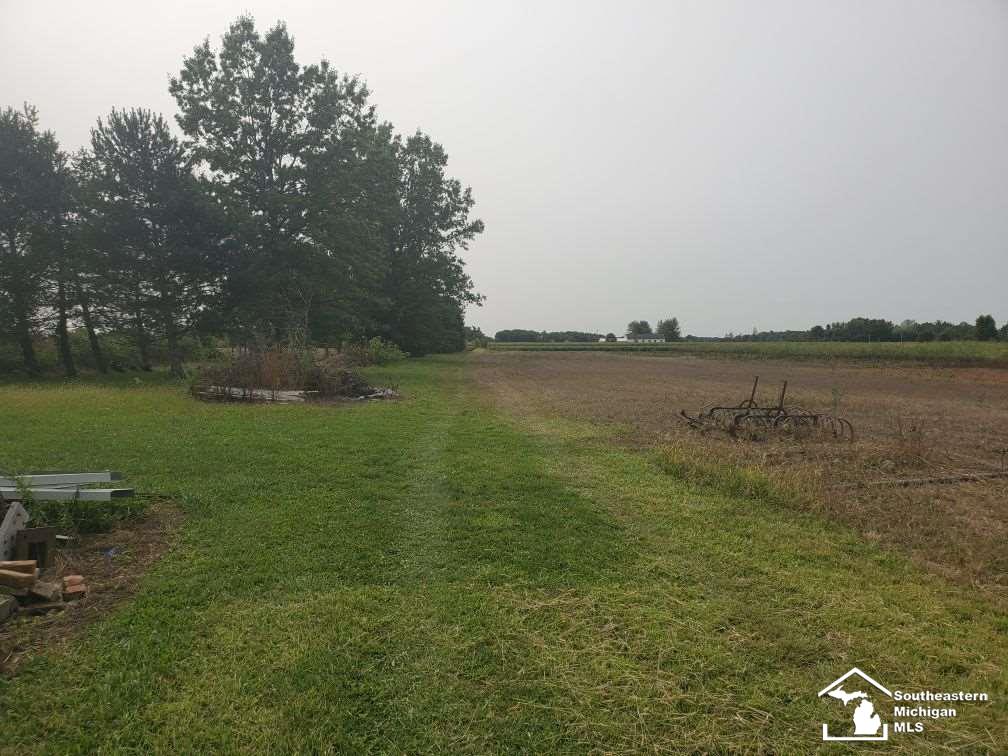 0 Blazer Road Maybee, MI 48159 - Photo 21 of 29