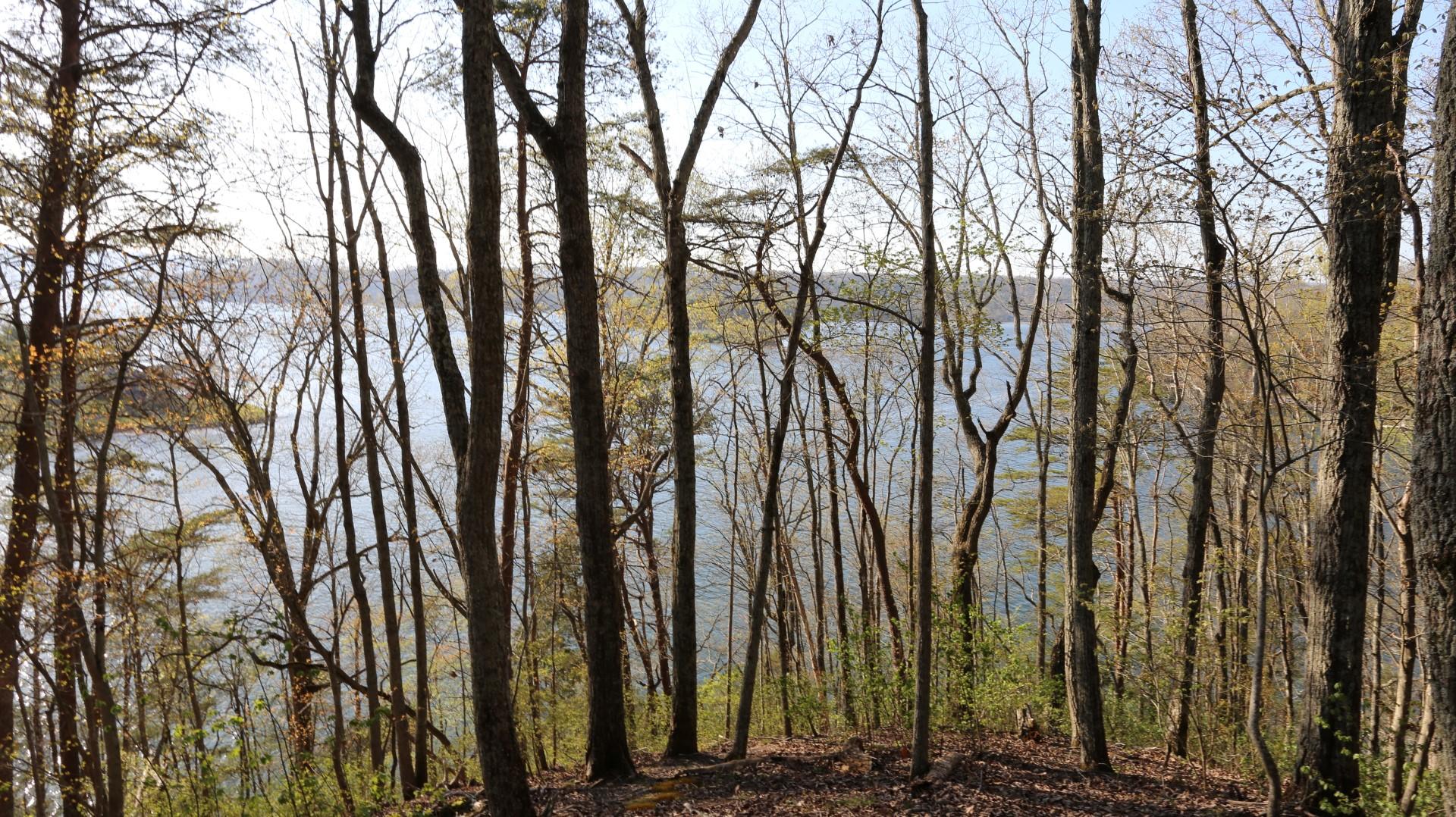Lot 408 Oak Tree Dr Spring, Unit 408 Spring City, TN 37381 - Photo 2 of 5 IMG_1275 (Large)