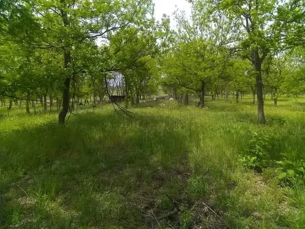 a view of a lush green space