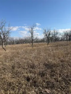 a view of a field with trees in background