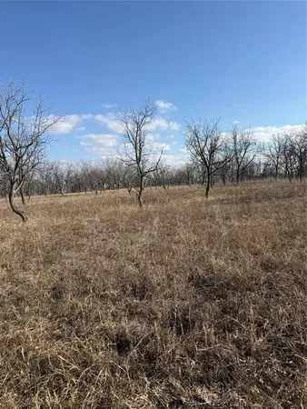 a view of a field with trees in background