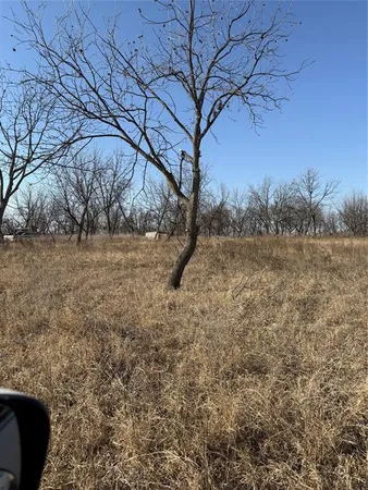 a view of a yard with a tree
