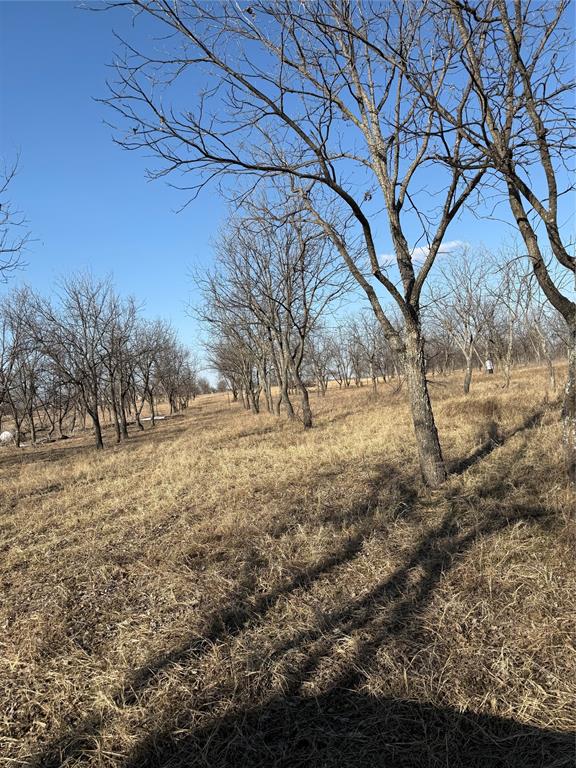 1209 County Road 416 Comanche, TX 76442 - Photo 7 of 7