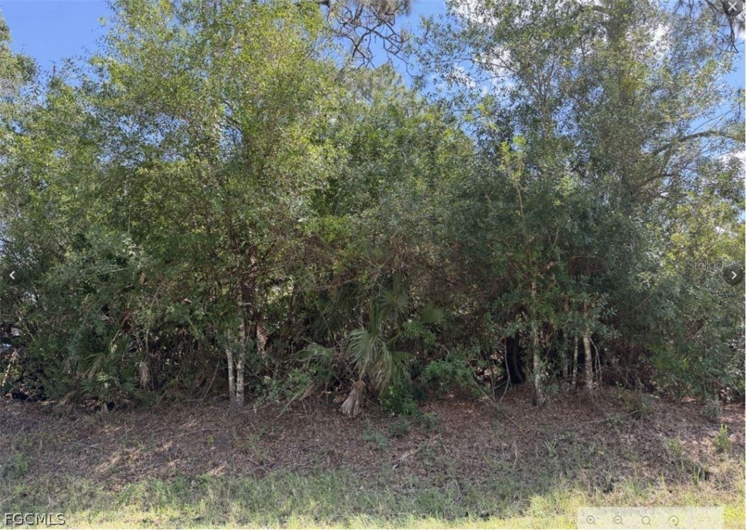 0 44th Street Northeast Naples, FL 34120 - Photo 5 of 8