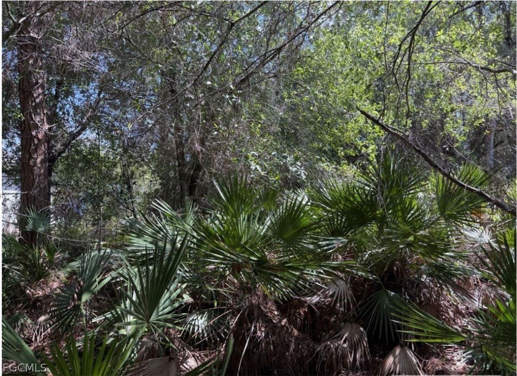 0 44th Street Northeast Naples, FL 34120 - Photo 6 of 8