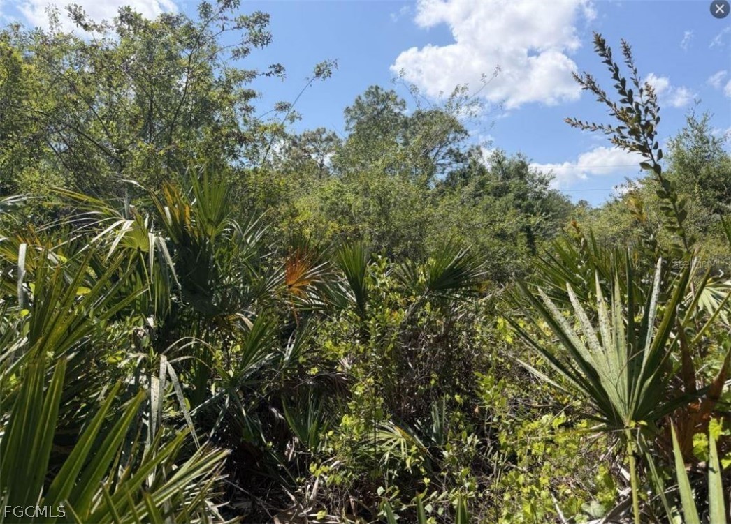 0 44th Street Northeast Naples, FL 34120 - Photo 7 of 8