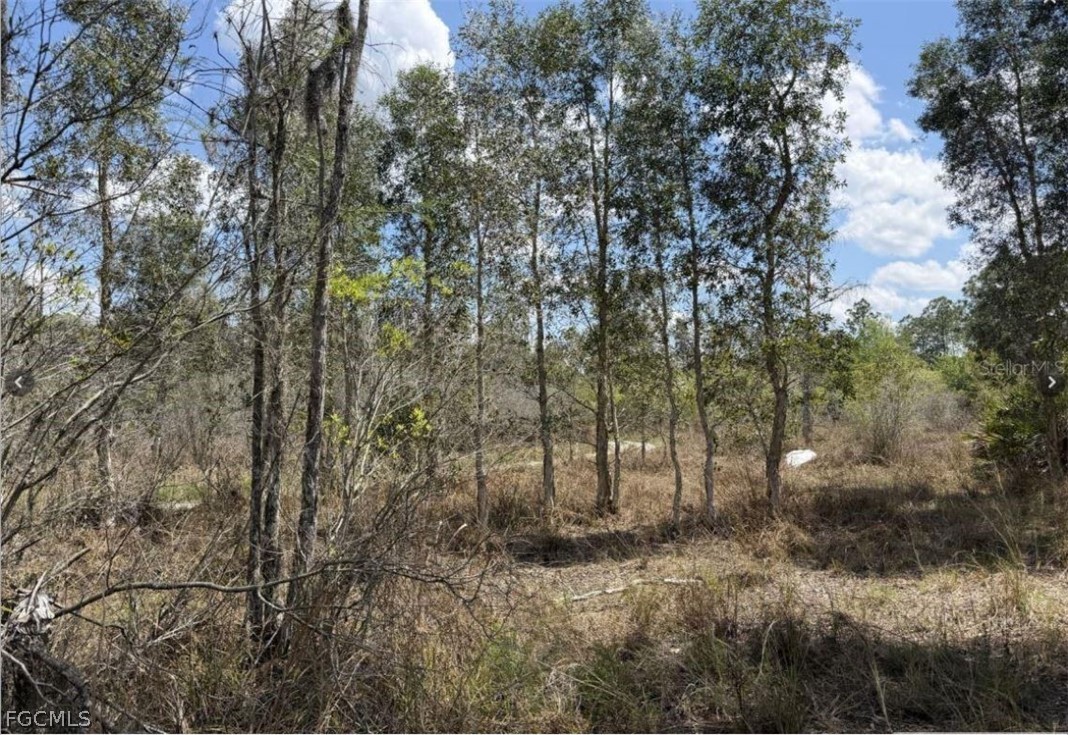 0 44th Street Northeast Naples, FL 34120 - Photo 8 of 8