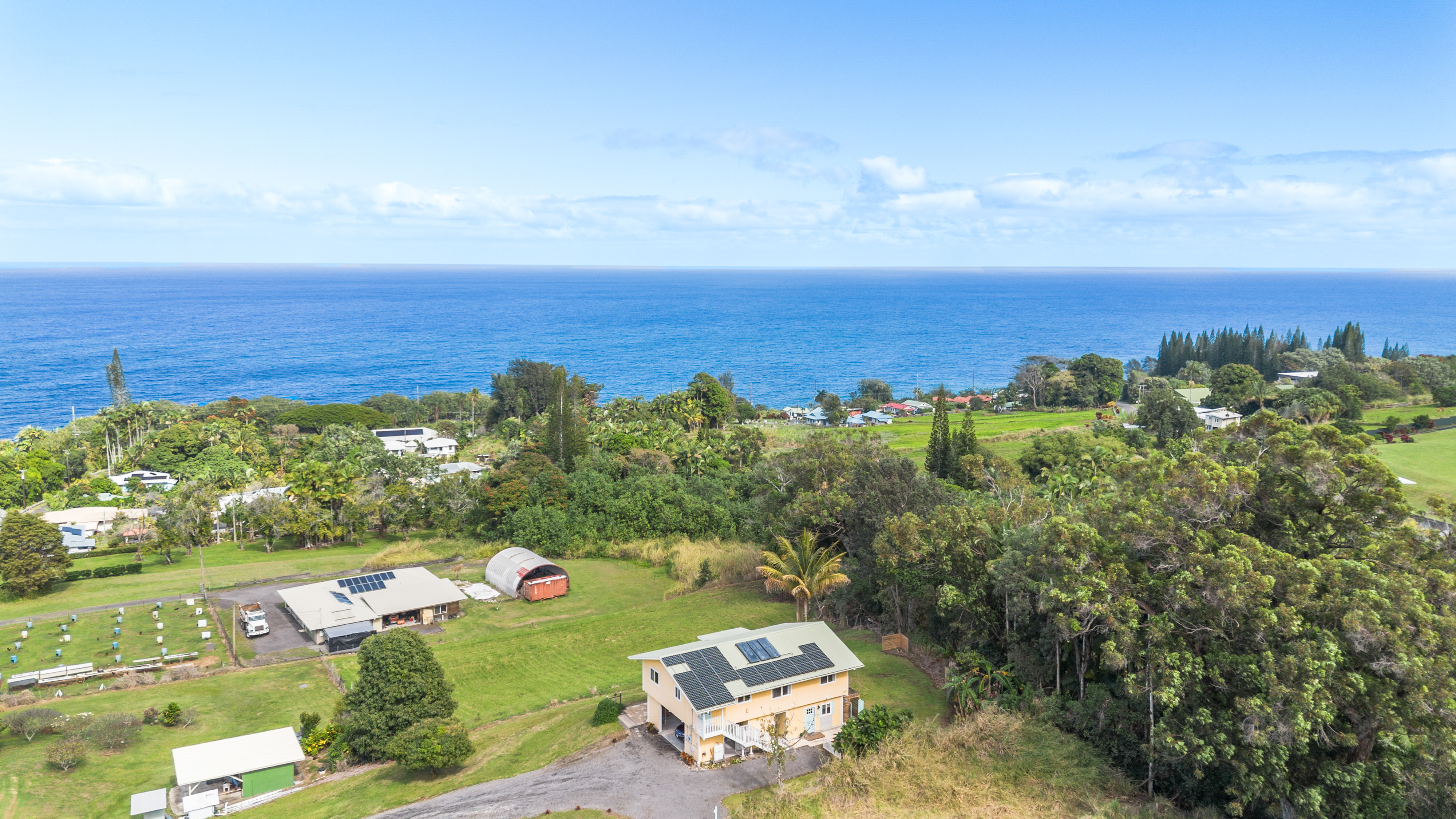 35-163 Hokumahoe Road Laupahoehoe, HI 96764 - Photo 3 of 30