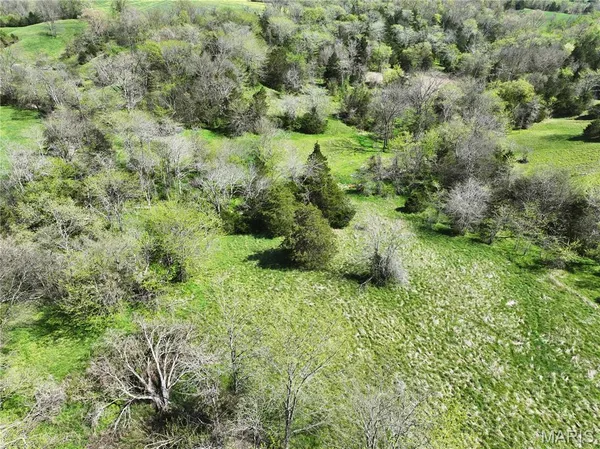 $1 | 5459 Hwy A, Frohna, MO 63748