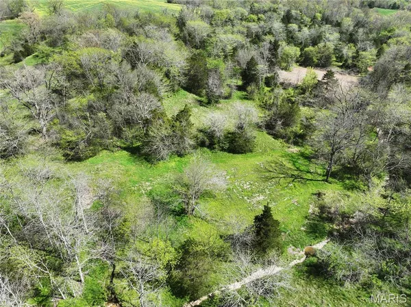 $1 | 5459 Hwy A, Frohna, MO 63748