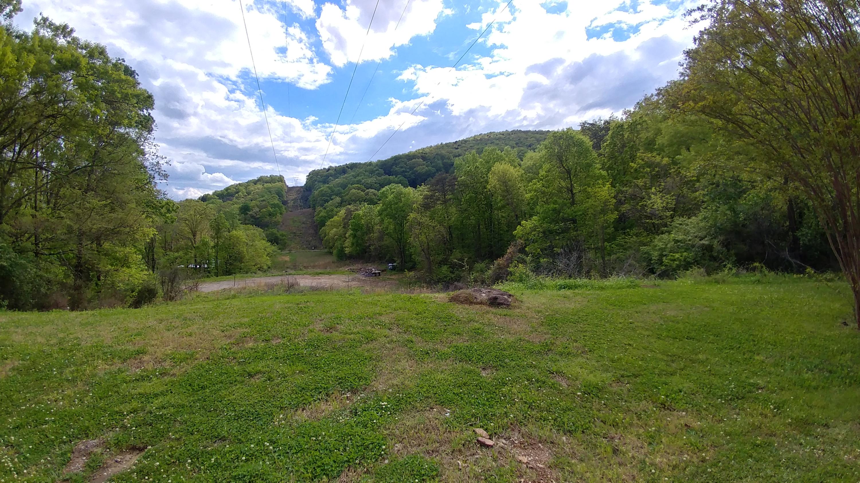 423 Isbill Road Chattanooga, TN 37419 - Photo 45 of 62 Property, Back Yard / Play Space