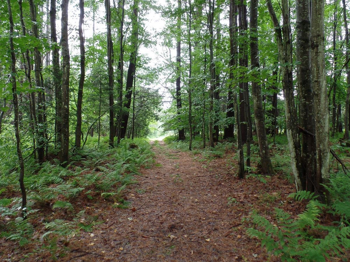 63 Flight Line Road Fairfax, VT 05454 - Photo 35 of 40