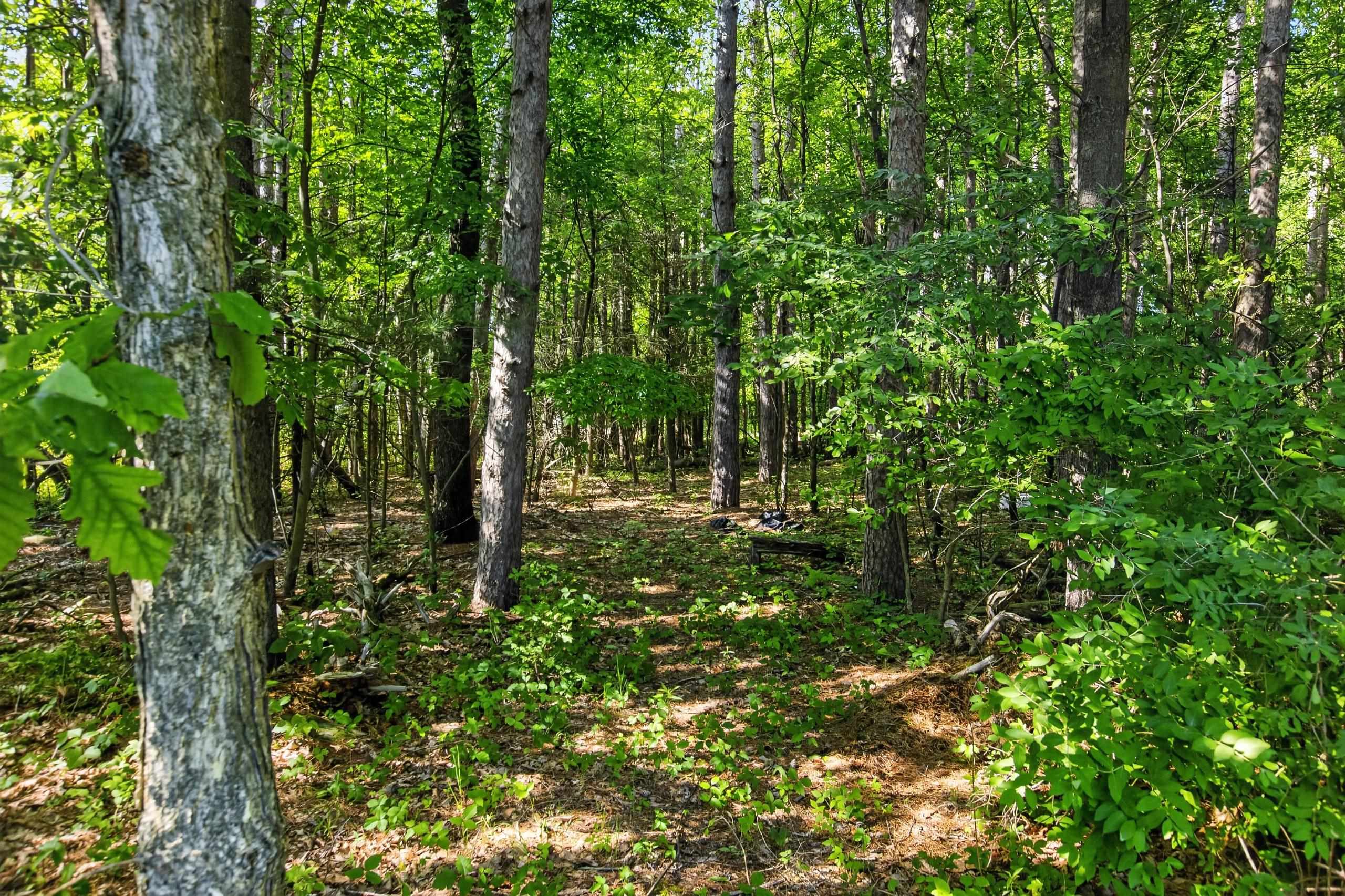 2248 Vickory Road Caro, MI 48723 - Photo 45 of 60