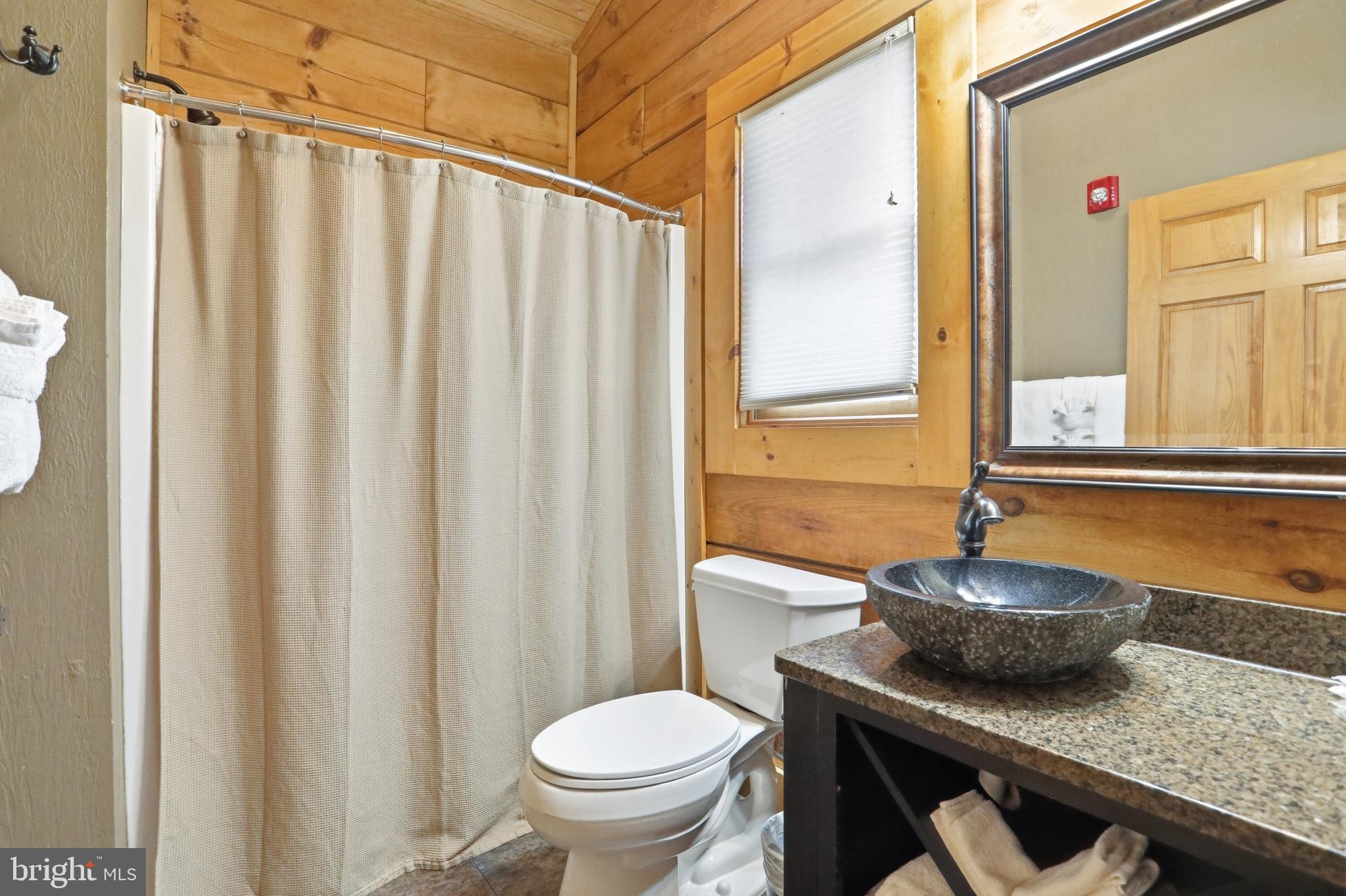 315 Cabin Lodge Road McHenry, MD 21541 - Photo 6 of 20