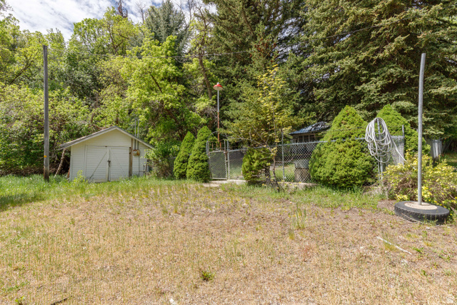 6449 North North Fork Road Eden, UT 84310 - Photo 4 of 38 Expansive outdoor area featuring a white accessory building with a double door, surrounded by mature trees and shrubs