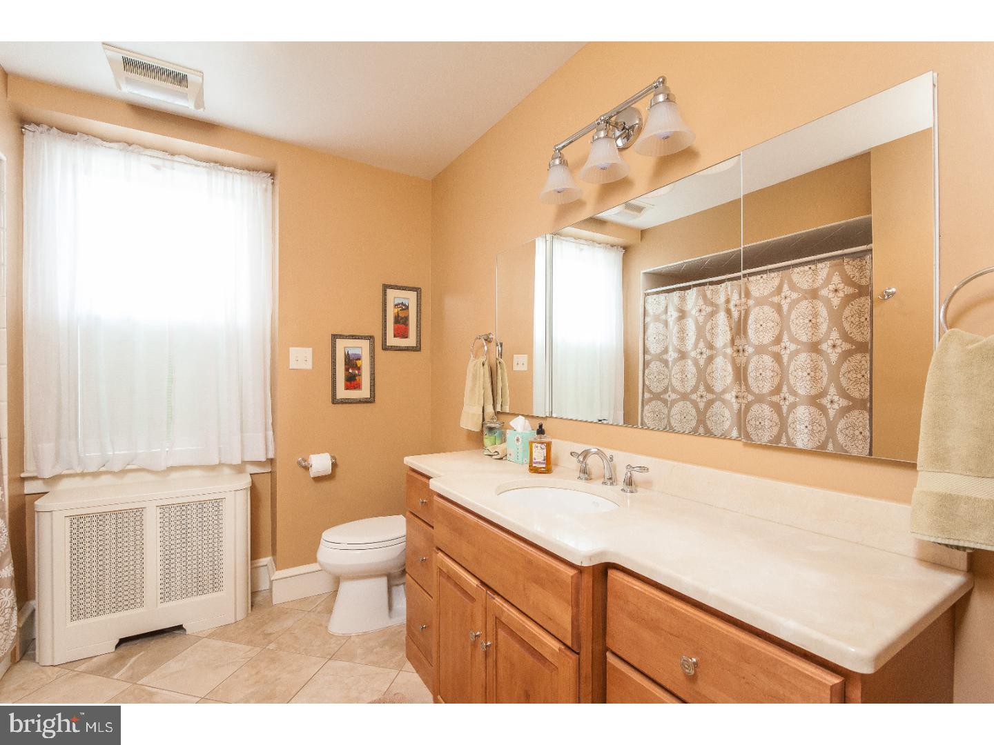 900 Homestead Road Jenkintown, PA 19046 - Photo 19 of 25 Bathroom