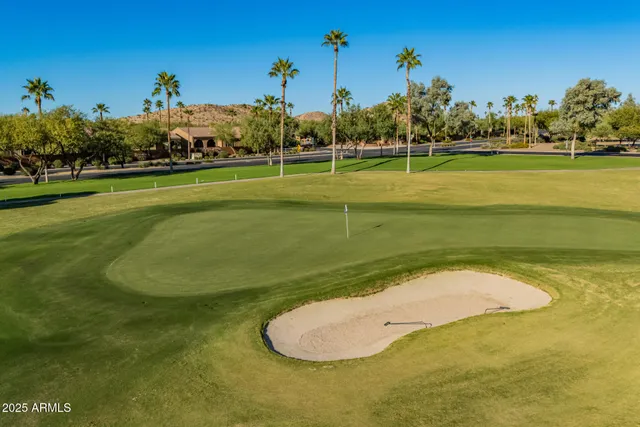 a view of a park with plants and palm trees