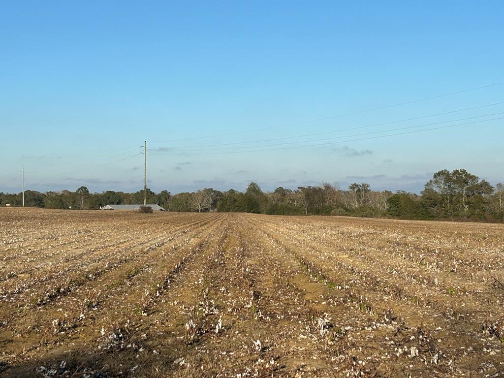 51.8-ac Hadden Road Dothan, AL 36301 - Photo 37 of 43