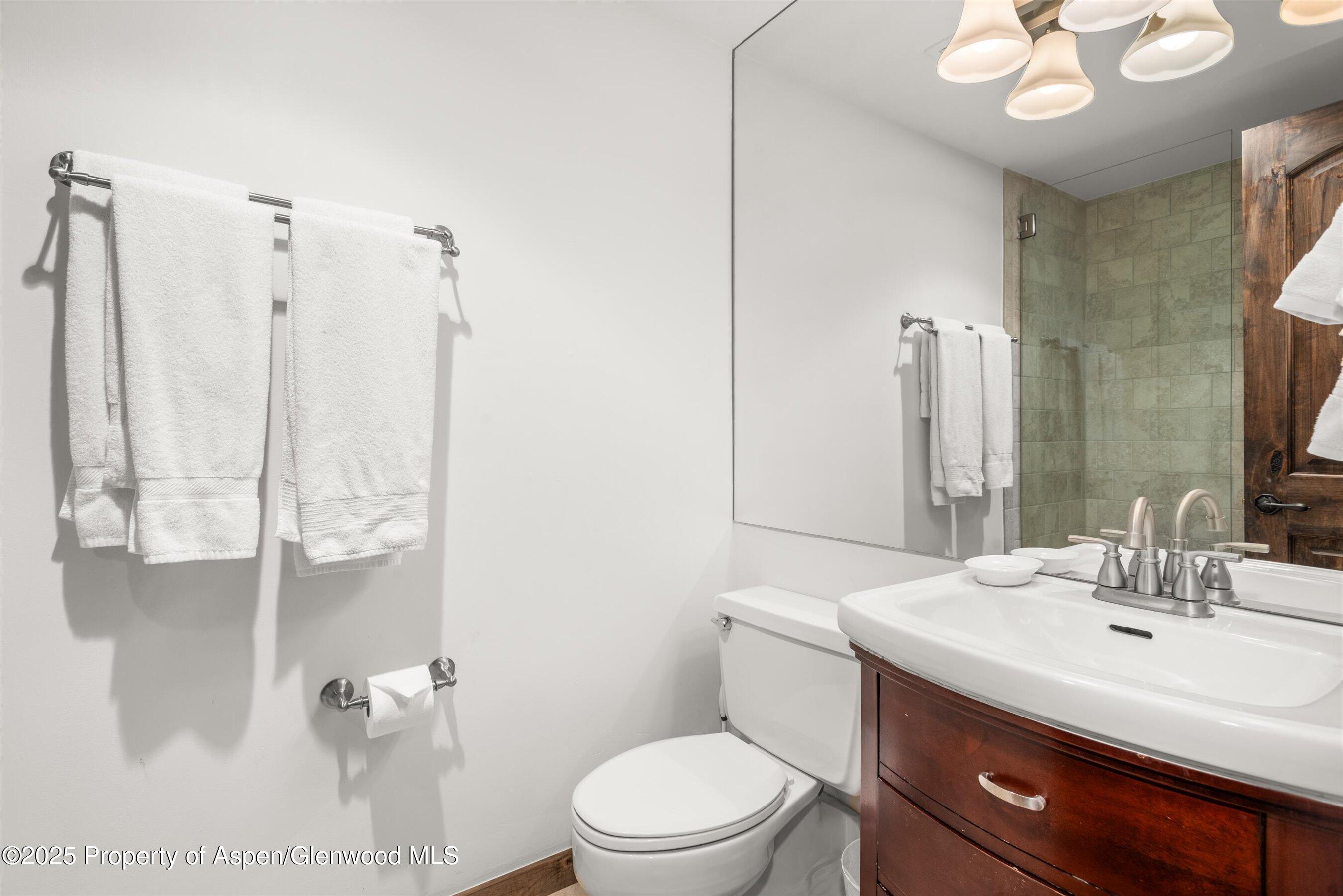 1039 East Cooper Avenue, Unit 36B Aspen, CO 81611 - Photo 13 of 15 a bathroom with a sink a toilet and shower