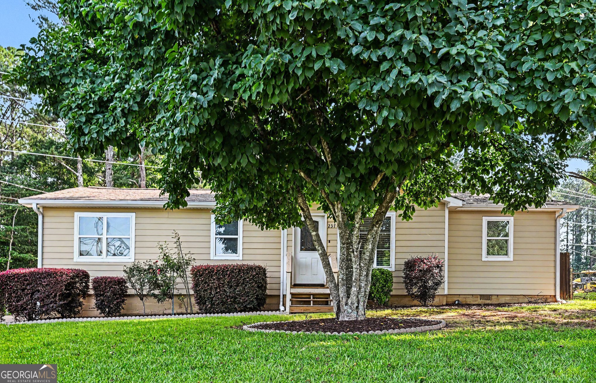 237 Palmetto Road Tyrone, GA 30290 - Photo 3 of 28