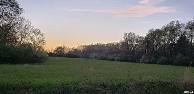 a view of a field with grass and trees