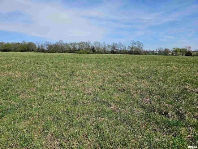 a view of a green field with trees in the background