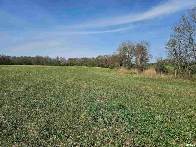 a view of a field with an ocean