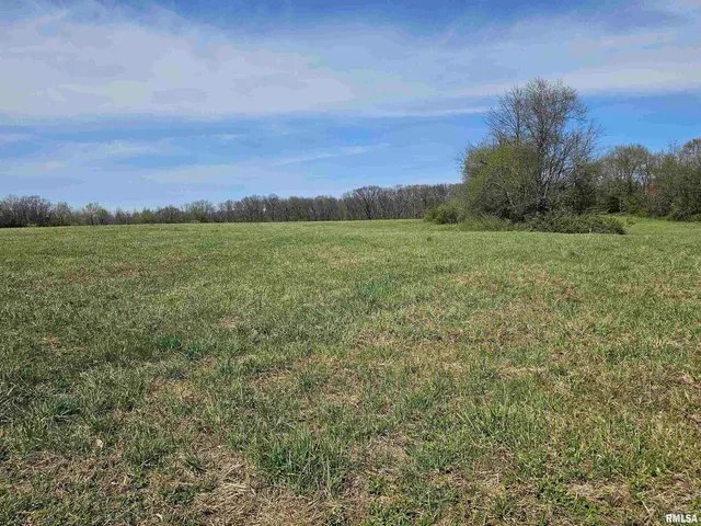a view of a field with an ocean