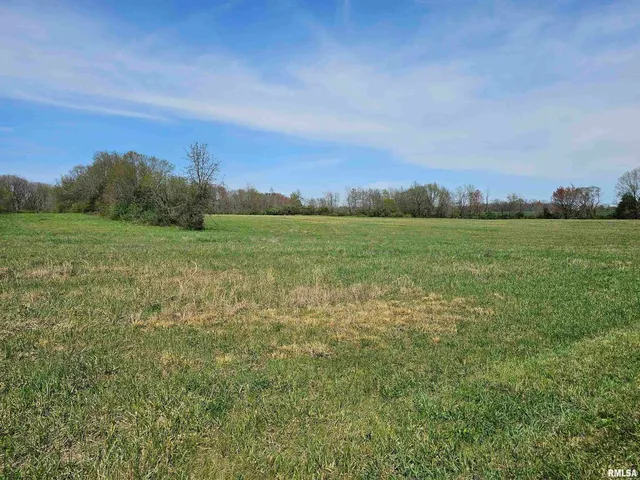 a view of a field with an ocean