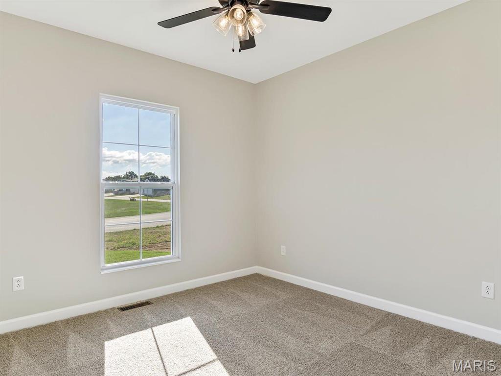 484 Hayden Drive Waterloo, IL 62298 - Photo 14 of 30